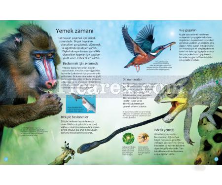 Hayvanlar Dünyası | Mike Unwin, Susanna Davidson - Resim 2