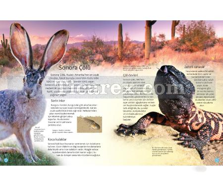 Hayvanlar Dünyası | Mike Unwin, Susanna Davidson - Resim 3