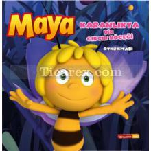 Arı Maya - Karanlıkta Bir Cırcır Böceği | Kolektif