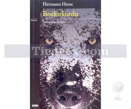 Bozkırkurdu | Hermann Hesse - Resim 1