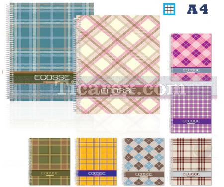 Ecosse Defter | 120 yp | A4 | Spiralli | Kareli | PP Kapak - Resim 1