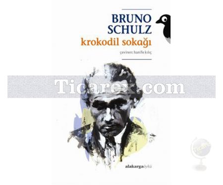 Krokodil Sokağı | Bruno Schulz - Resim 1