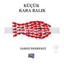 Küçük Kara Balık | Samed Behrengi