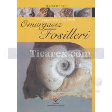 turkiye_nin_onemli_omurgasiz_fosilleri
