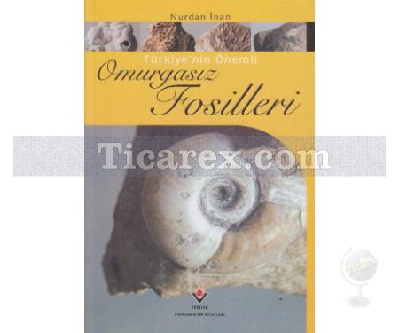 Türkiye'nin Önemli Omurgasız Fosilleri | Nurdan İnan - Resim 1