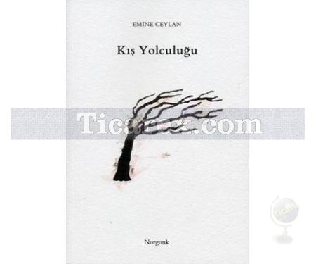 Kış Yolculuğu | Emine Ceylan - Resim 1