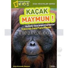 kacak_maymun