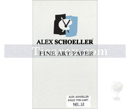 Alex Schoeller Kolej Fon Kartonu No:12 | Gri | 35x50 | 160 gr/m2 - Resim 1