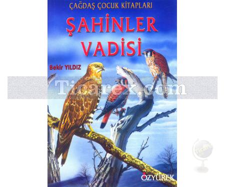 Şahinler Vadisi | Bekir Yıldız - Resim 1