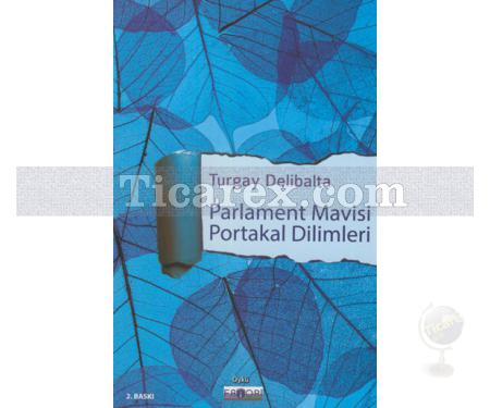 Parlament Mavisi Portakal Dilimleri | Turgay Delibalta - Resim 1
