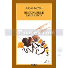 bugunlerde_bahar_indi