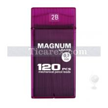 Magnum 0.7 Mm - 2B - Kurşun Kalem Ucu - Şeffaf Mor Kutuda No:17