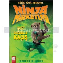 Ninja Mirketler - Buz Dağından Kaçış | Gareth P. Jones