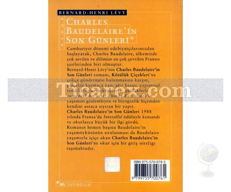Charles Baudelaire'in Son Günleri | Bernard-Henry Levy - Resim 2
