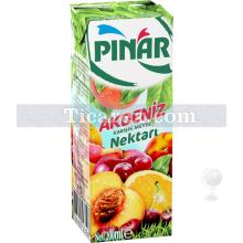 Pınar Karışık Meyva Nektarı | Akdeniz Kokteyli | 200 ml