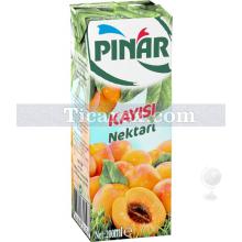 Pınar Meyve Nektarı | Kayısı | 200 ml
