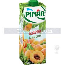 Pınar Meyve Nektarı | Kayısı | 1 lt