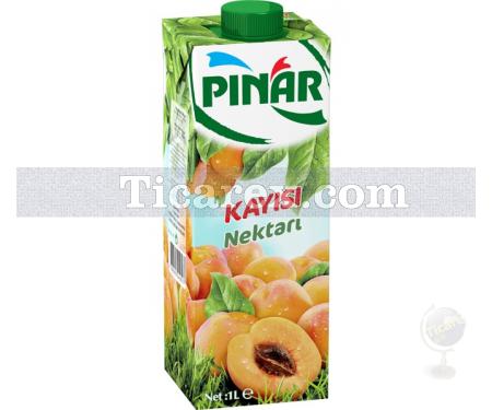 Kayısı Nektarı | 1 lt - Resim 1