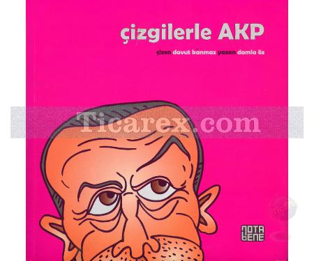 Çizgilerle AKP | Damla Öz - Resim 1
