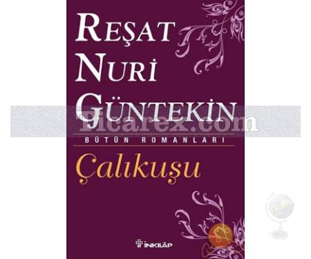 Çalıkuşu | Reşat Nuri Güntekin - Resim 1