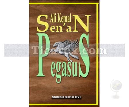 Pegasus | Ali Kemal Senan - Resim 1