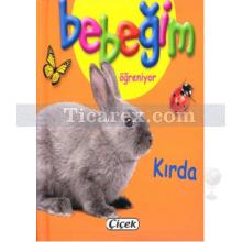 bebegim_ogreniyor_-_kirda