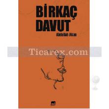 birkac_davut