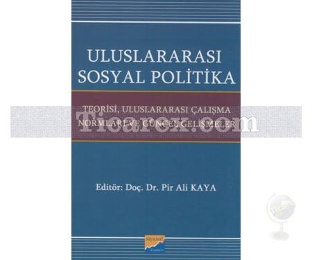 Uluslararası Sosyal Politika | Pir Ali Kaya - Resim 1