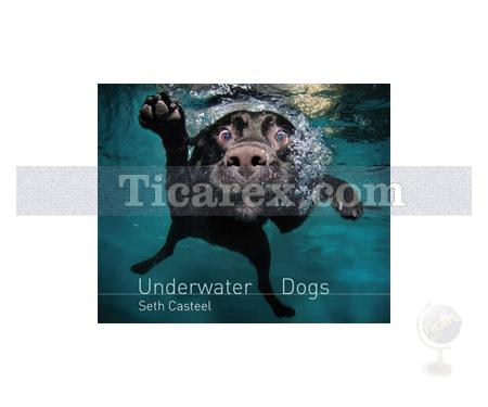 Underwater Dogs | Seth Casteel Casteel - Resim 1