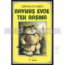 Baykuş Evde Tek Başına | Arnold Lobel