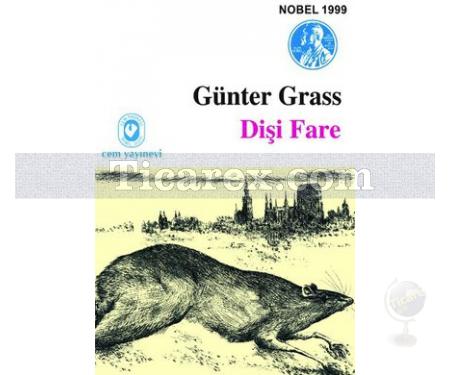 Dişi Fare | Günter Grass - Resim 1