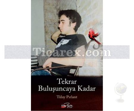 Tekrar Buluşuncaya Kadar | Tülay Pırlant - Resim 1