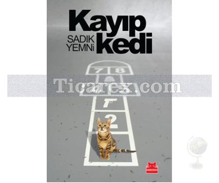 Kayıp Kedi | Sadık Yemni - Resim 1