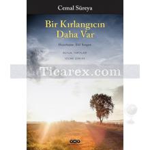 Bir Kırlangıcın Daha Var | Cemal Süreya