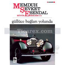 gulluce_baglari_yolunda