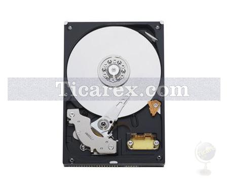 Western Digital WD2500AVJB, PATA 100 MB/s, WD AV - Resim 1