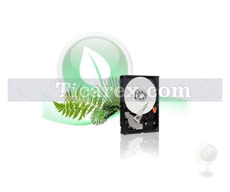 Western Digital WD8000AARS, SATA 3 Gb/s, WD Caviar Green - Resim 1
