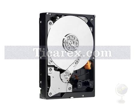 Western Digital WD1502FYPS, WD1502FYPSRTL, SATA 3 Gb/s, WD RE4-GP - Resim 1