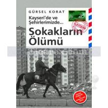 Kayseri'de ve Şehirlerimizde - Sokakların Ölümü | Gürsel Korat