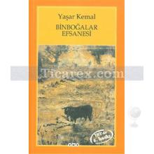 binbogalar_efsanesi