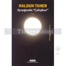 ayisiginda_caliskur