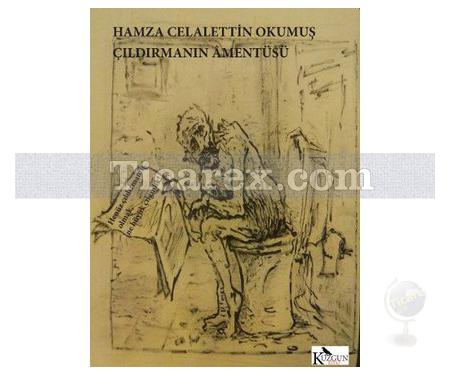 Çıldırmanın Amentüsü | Hamza Celalettin Okumuş - Resim 1