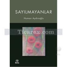 sayilmayanlar