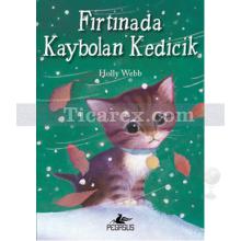 firtinada_kaybolan_kedicik