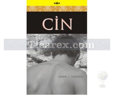 Cin | Ahmet Ş. Tamtekin - Resim 1