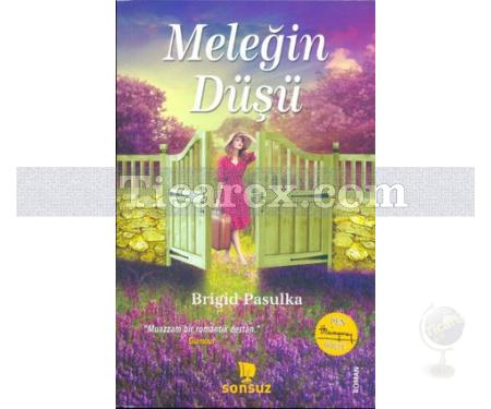 Meleğin Düşü | Brigid Pasulka - Resim 1