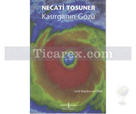 Kasırganın Gözü | Necati Tosuner - Resim 1