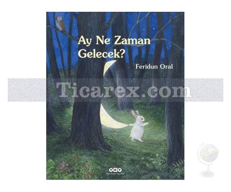 Ay Ne Zaman Gelecek | Feridun Oral - Resim 1