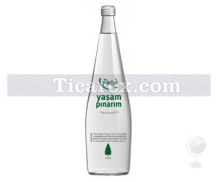 Yaşam Pınarım Su Cam Şişe | 0.75 lt - Resim 1