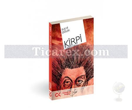 Kirpi | Sulhi Dölek - Resim 1